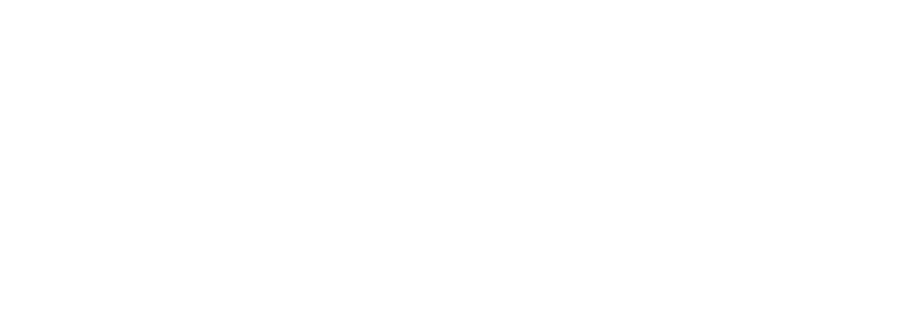 Akyildiz